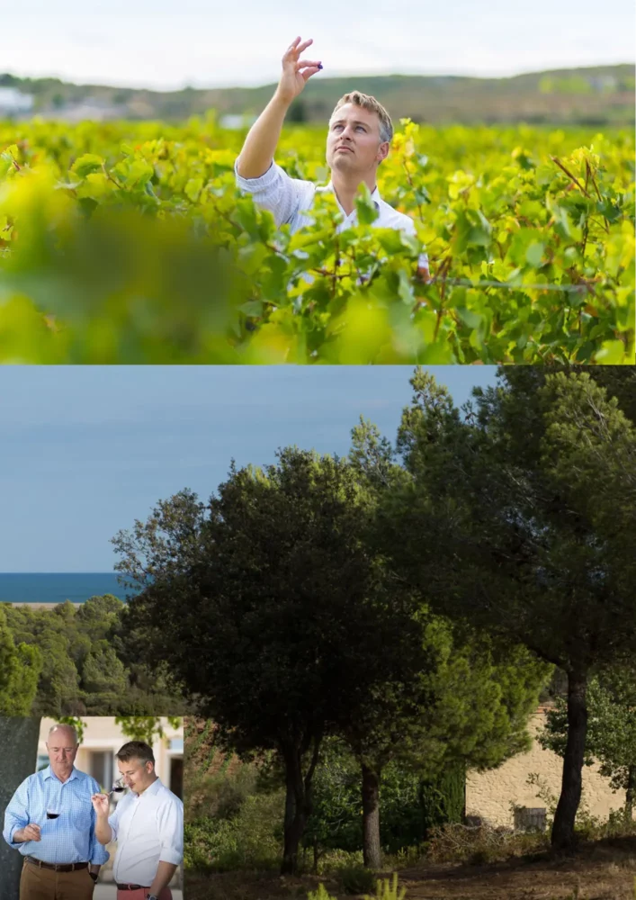 Chateau d-Angles