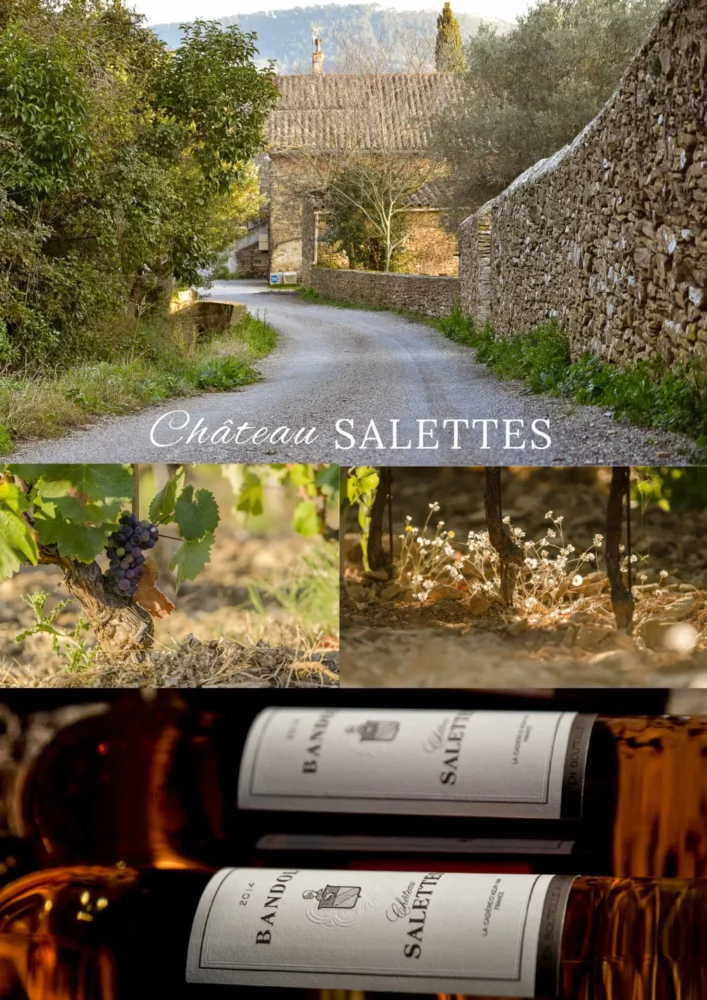 Chateau Salettes
