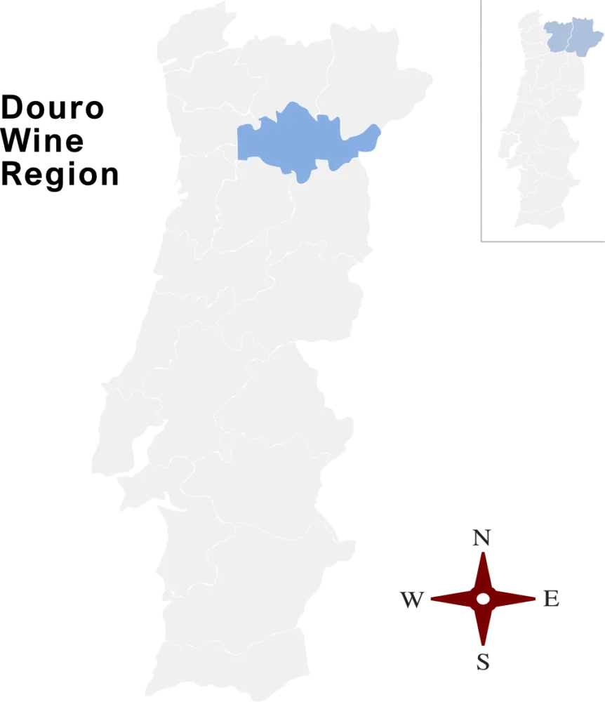 Portugal douro wine region