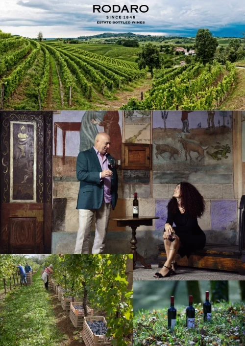 Rodaro producer image